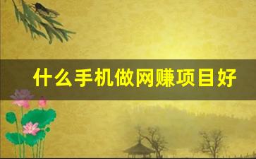 什么手机做网赚项目好(现在用手机赚钱的项目哪个好) - 严选资源大全 - 严选资源大全