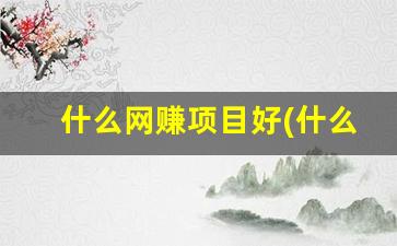 什么网赚项目好(什么网挣钱快) - 严选资源大全 - 严选资源大全