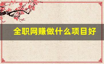 全职网赚做什么项目好(网络全职赚钱方式) - 严选资源大全 - 严选资源大全