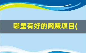 哪里有好的网赚项目(哪里可以网络赚钱) - 严选资源大全 - 严选资源大全