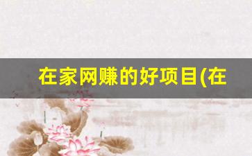 在家网赚的好项目(在家就能做的网络兼职) - 严选资源大全 - 严选资源大全