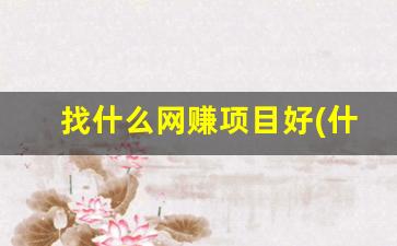 找什么网赚项目好(什么网挣钱) - 严选资源大全 - 严选资源大全