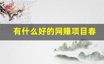 有什么好的网赚项目春晚(2021做什么网络赚钱) - 严选资源大全 - 严选资源大全