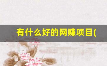 有什么好的网赚项目(有什么网络赚钱) - 严选资源大全 - 严选资源大全