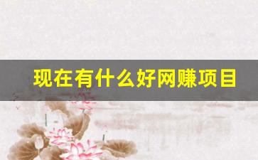 现在有什么好网赚项目(现在还有什么网上可以赚钱的) - 严选资源大全 - 严选资源大全