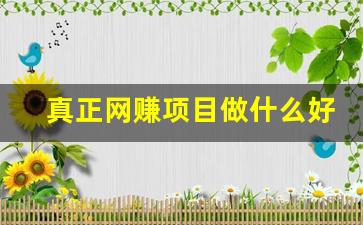 真正网赚项目做什么好 - 严选资源大全 - 严选资源大全