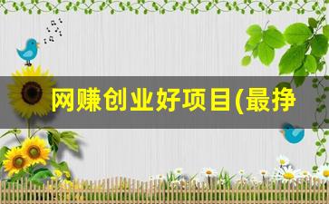 网赚创业好项目(最挣钱网络创业项目) - 严选资源大全 - 严选资源大全