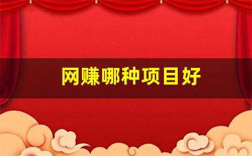 网赚哪种项目好 - 严选资源大全 - 严选资源大全