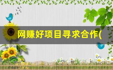 网赚好项目寻求合作(网站合作赚钱平台) - 严选资源大全 - 严选资源大全