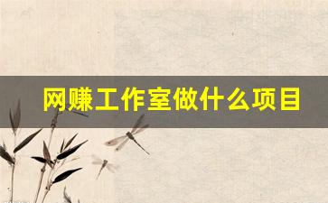 网赚工作室做什么项目好(网络工作室赚钱吗) - 严选资源大全 - 严选资源大全