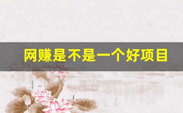 网赚是不是一个好项目 - 严选资源大全 - 严选资源大全