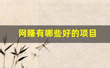 网赚有哪些好的项目 - 严选资源大全 - 严选资源大全