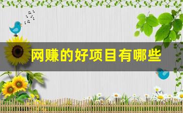 网赚的好项目有哪些 - 严选资源大全 - 严选资源大全