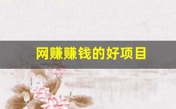 网赚赚钱的好项目 - 严选资源大全 - 严选资源大全