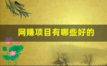 网赚项目有哪些好的 - 严选资源大全 - 严选资源大全