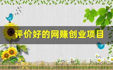 评价好的网赚创业项目(最挣钱网络创业项目) - 严选资源大全 - 严选资源大全