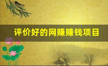 评价好的网赚赚钱项目(网上评论赚钱) - 严选资源大全 - 严选资源大全