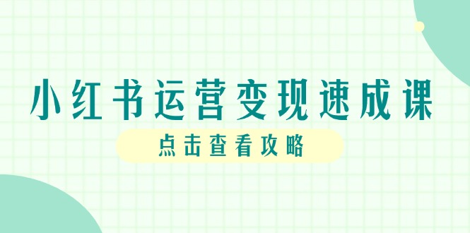 小红书运营变现速成课，账号搭建到暴力起号，个人IP全流程指南 - 严选资源大全 - 严选资源大全