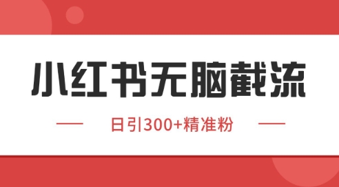 小红书截流同行客源，独家野路子获客玩法 日引200+暴力获客【揭秘】 - 严选资源大全 - 严选资源大全