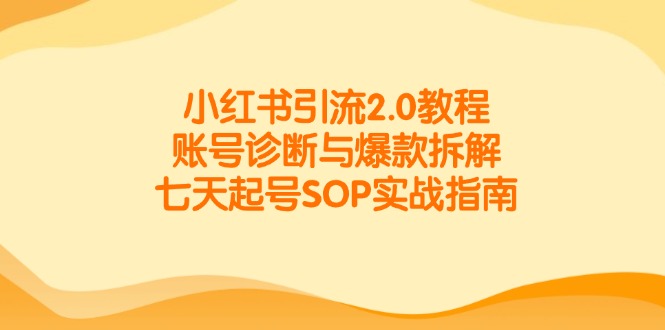 小红书引流2.0教程，账号诊断与爆款拆解，七天起号SOP实战指南 - 严选资源大全 - 严选资源大全