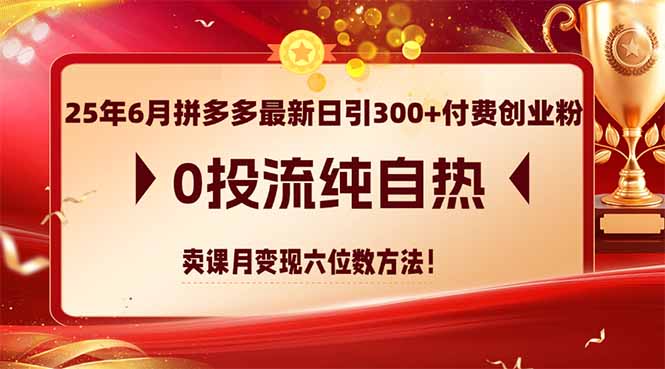 25年6月拼多多最新日引300+付费创业粉，0投流纯自热 卖课月变现六位数方法 - 严选资源大全 - 严选资源大全