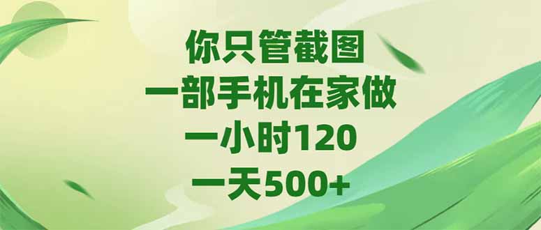 你只管截图，一部手机在家做，一小时120，-天500+ - 严选资源大全 - 严选资源大全