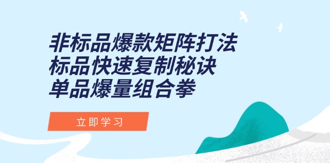 非标品爆款矩阵打法，标品快速复制秘诀，单品爆量组合拳 - 严选资源大全 - 严选资源大全