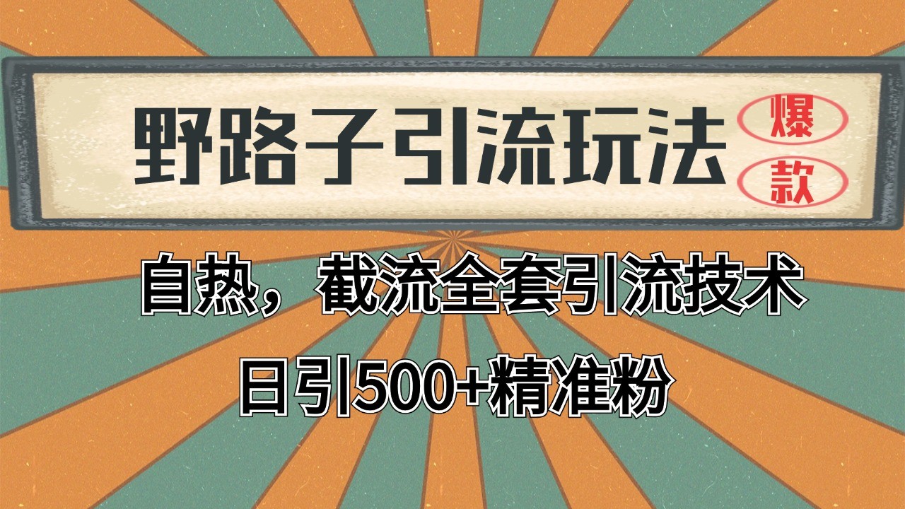 2024首发野路子引流玩法截流自热全平台打法，全自动引流【日引2000+精准客户】 - 严选资源大全 - 严选资源大全