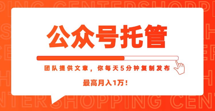 【公众号托管 】我提供文章，你每天５分钟复制发布，最高月入1W - 严选资源大全 - 严选资源大全
