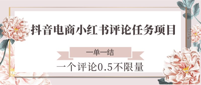 抖音电商小红书评论任务项目，一个评论0.5，一单一结 不限量 - 严选资源大全 - 严选资源大全