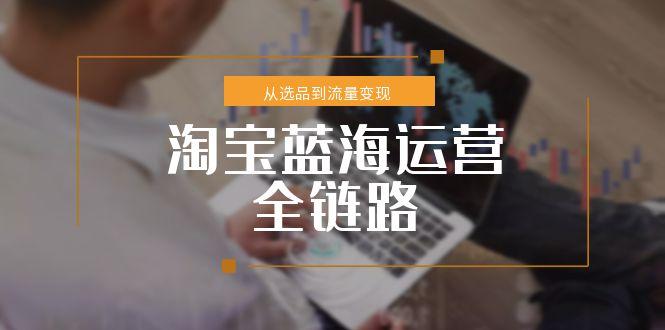 淘宝蓝海运营全链路，从选品到流量变现，小类目突围完整方案 - 严选资源大全 - 严选资源大全