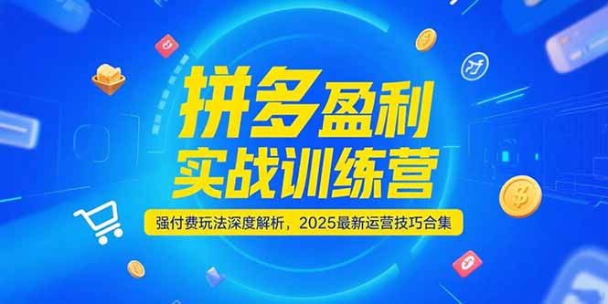 拼多多盈利实战训练营，强付费玩法深度解析，2025运营技巧合集-更新6月 - 严选资源大全 - 严选资源大全