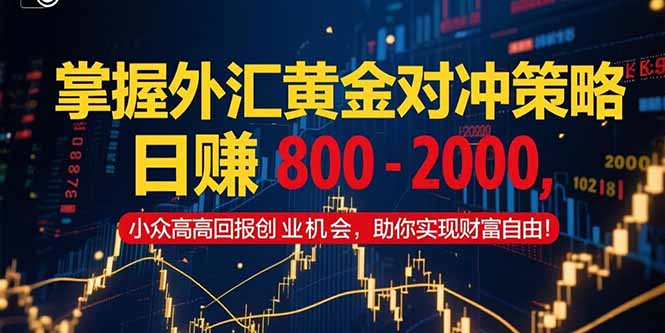 掌握外汇黄金对冲策略，日赚 800 – 2000，小众高回报创业机会，助你实… - 严选资源大全 - 严选资源大全