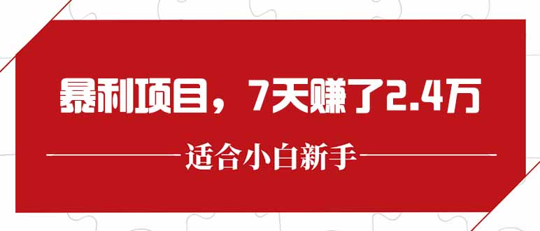 最新暴利项目，每单收益轻松在300以上，7天赚了2.4万 - 严选资源大全 - 严选资源大全