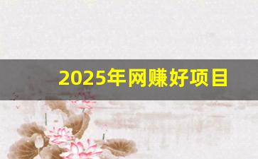 2025年网赚好项目(2020最新最赚钱网络赚钱项目) - 严选资源大全 - 严选资源大全