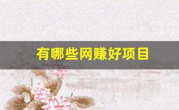 有哪些网赚好项目 - 严选资源大全 - 严选资源大全