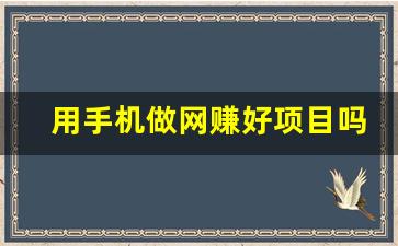 用手机做网赚好项目吗(网上手机赚钱) - 严选资源大全 - 严选资源大全