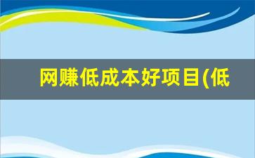 网赚低成本好项目(低成本赚钱项目) - 严选资源大全 - 严选资源大全