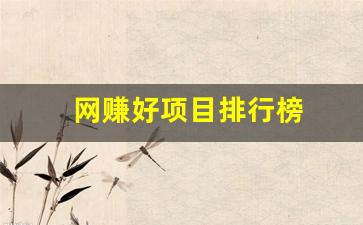 网赚好项目排行榜 - 严选资源大全 - 严选资源大全