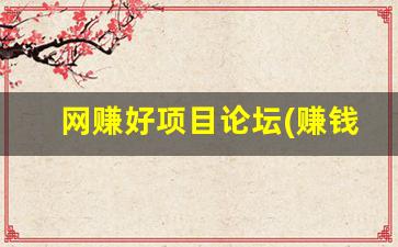 网赚好项目论坛(赚钱好项目论坛) - 严选资源大全 - 严选资源大全