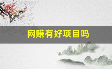 网赚有好项目吗 - 严选资源大全 - 严选资源大全
