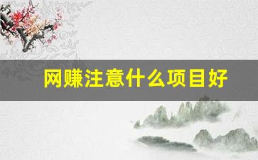 网赚注意什么项目好 - 严选资源大全 - 严选资源大全