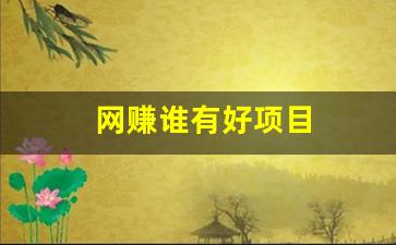 网赚谁有好项目 - 严选资源大全 - 严选资源大全