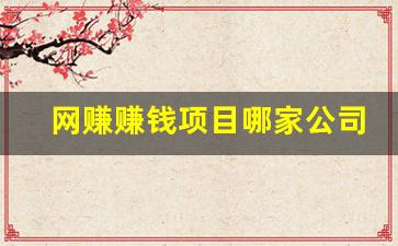 网赚赚钱项目哪家公司好 - 严选资源大全 - 严选资源大全