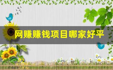 网赚赚钱项目哪家好平台 - 严选资源大全 - 严选资源大全
