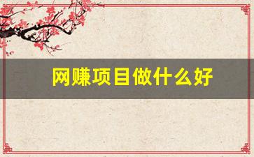 网赚项目做什么好 - 严选资源大全 - 严选资源大全