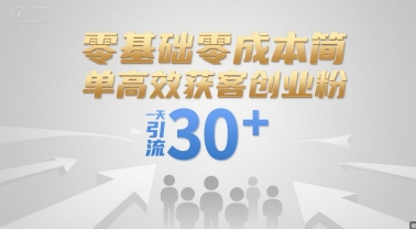 零基础零成本简单高效获客创业粉，一天引流30+ - 严选资源大全 - 严选资源大全