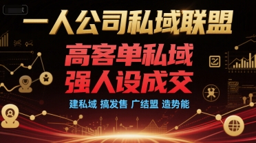 一人公司私域联盟，高客单私域，强人设成交，建私域 搞发售 广结盟 造势能 - 严选资源大全 - 严选资源大全