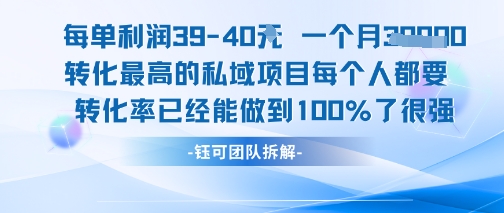 每单利润40一个月7k+转化最高的私域项目，每个人都要的产品转化率已经能做到100% - 严选资源大全 - 严选资源大全
