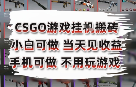 CSGO游戏挂G搬砖，小白纯手机即可操作，不用电脑打游戏，日入3张+，副业网创项目【揭秘】 - 严选资源大全 - 严选资源大全